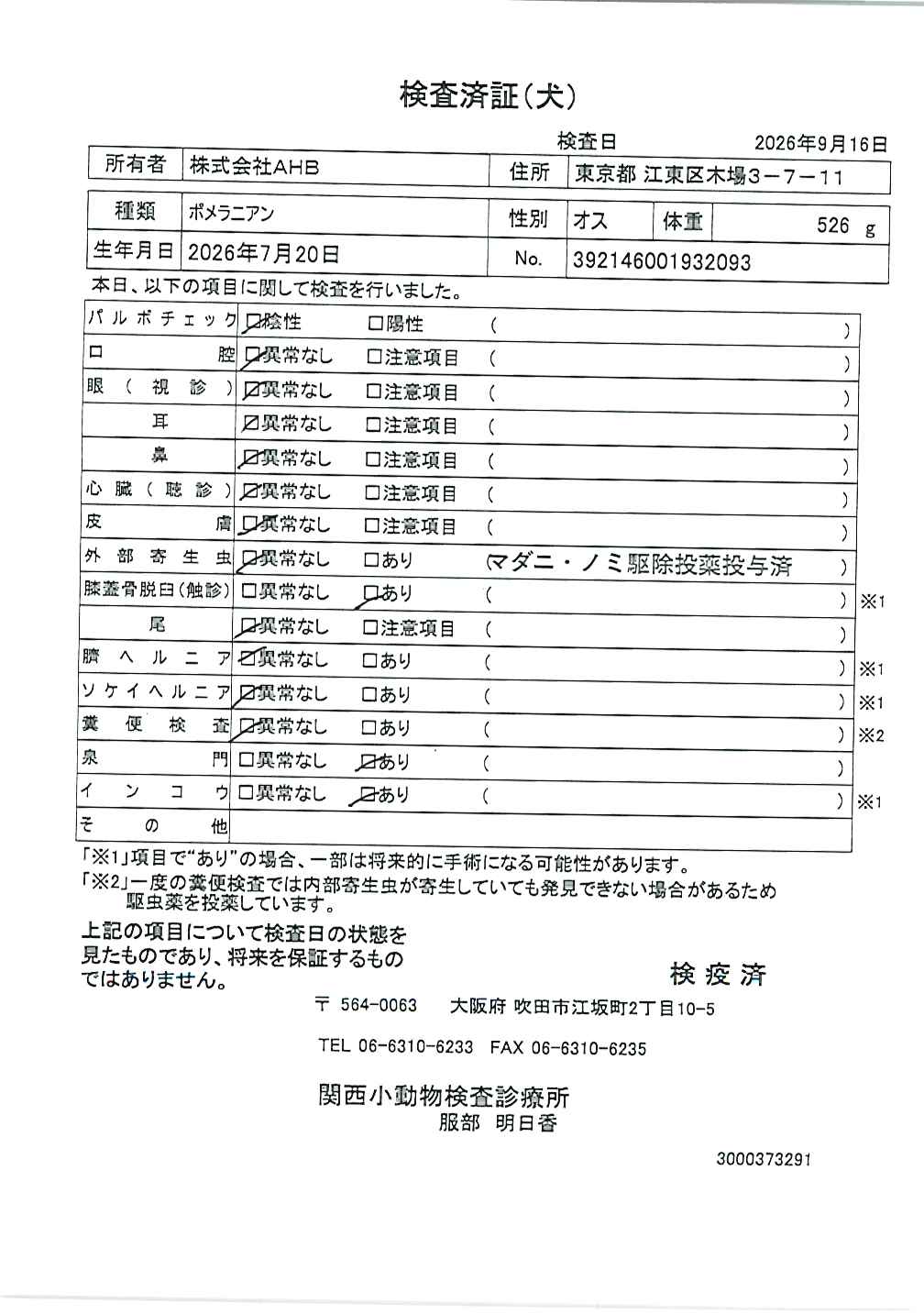 ポメラニアン