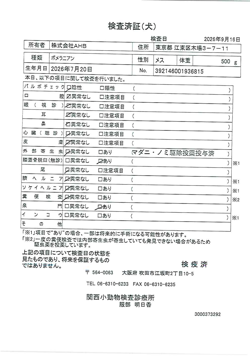 ポメラニアン