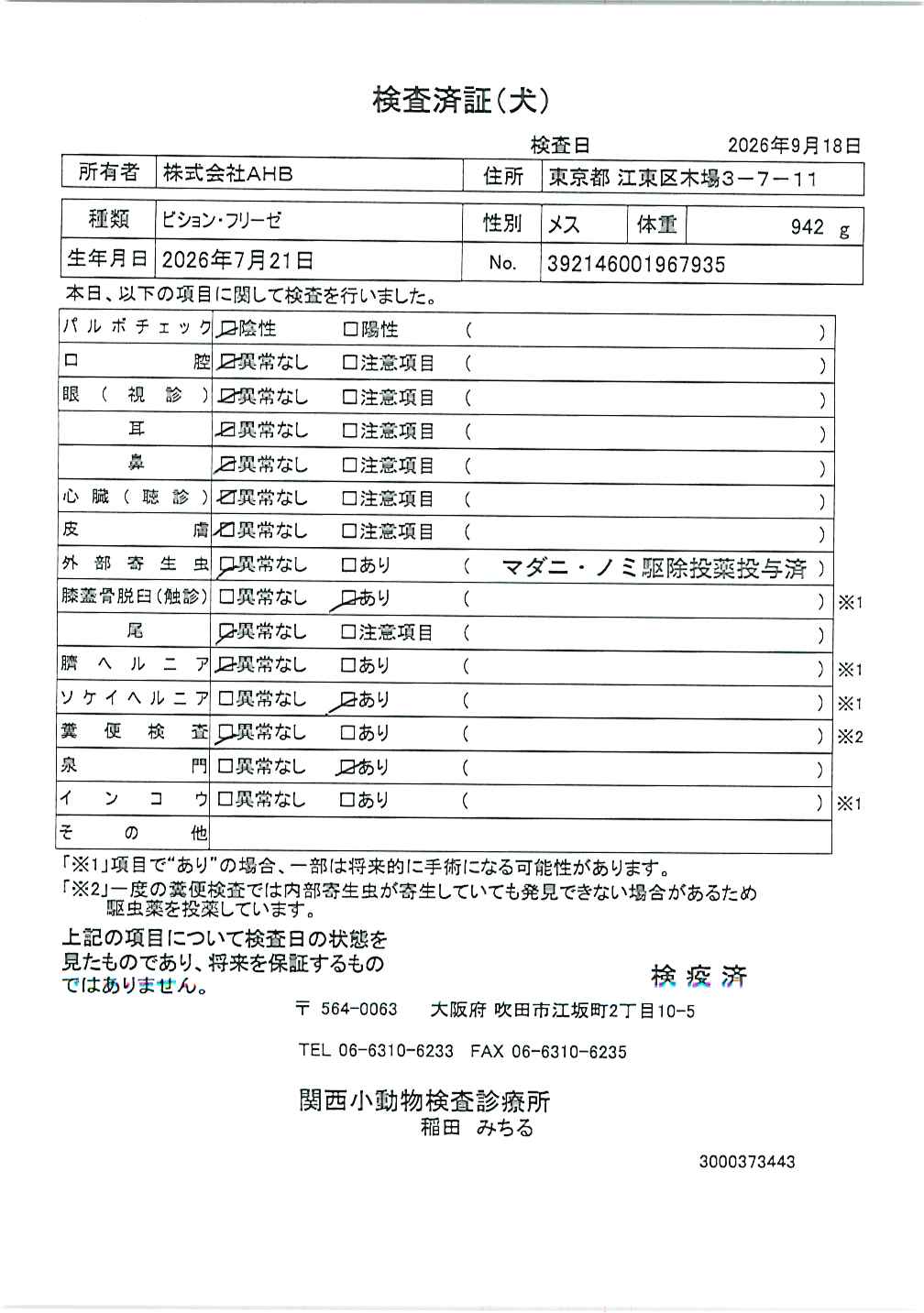 ビション・フリーゼ