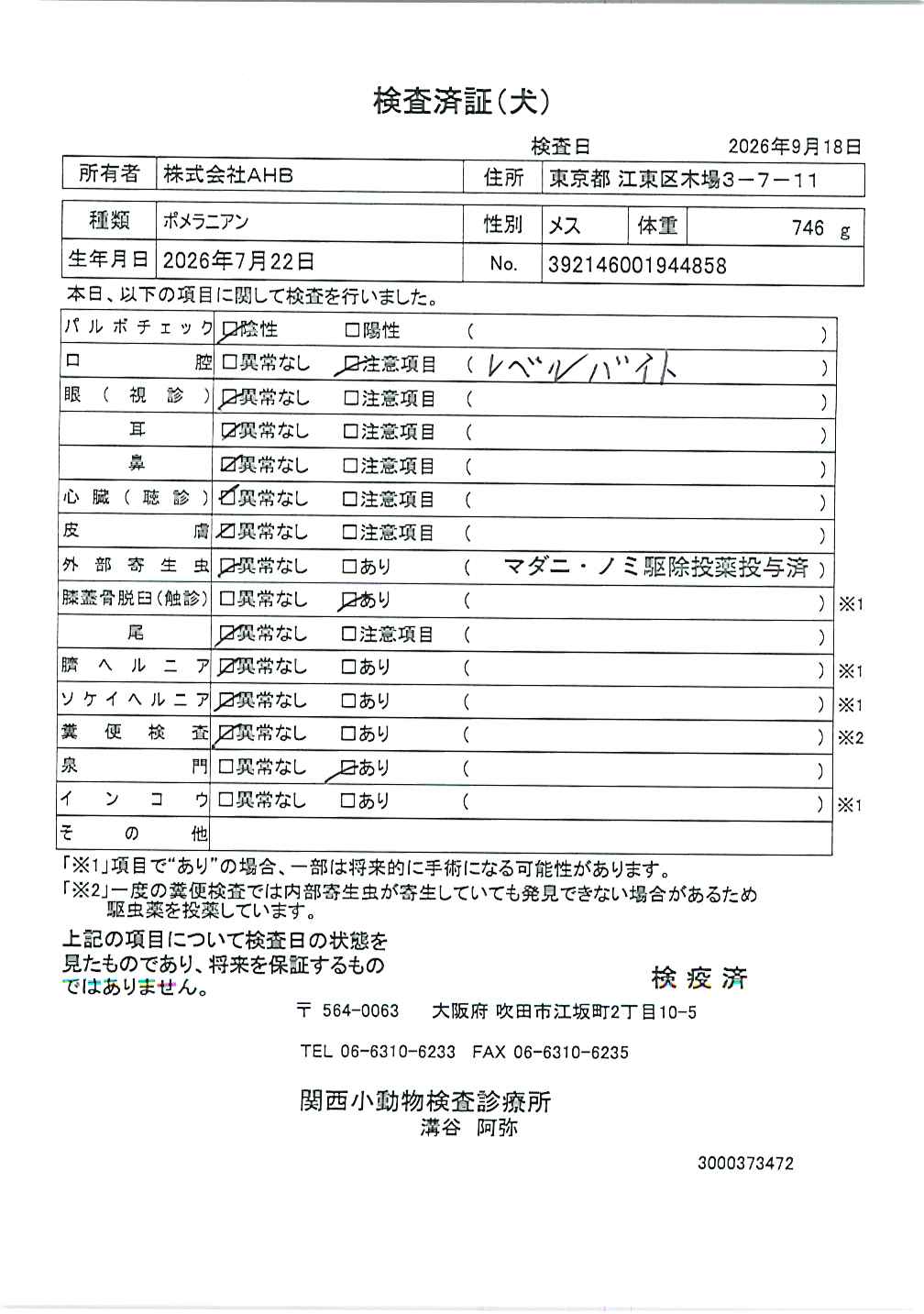 ポメラニアン