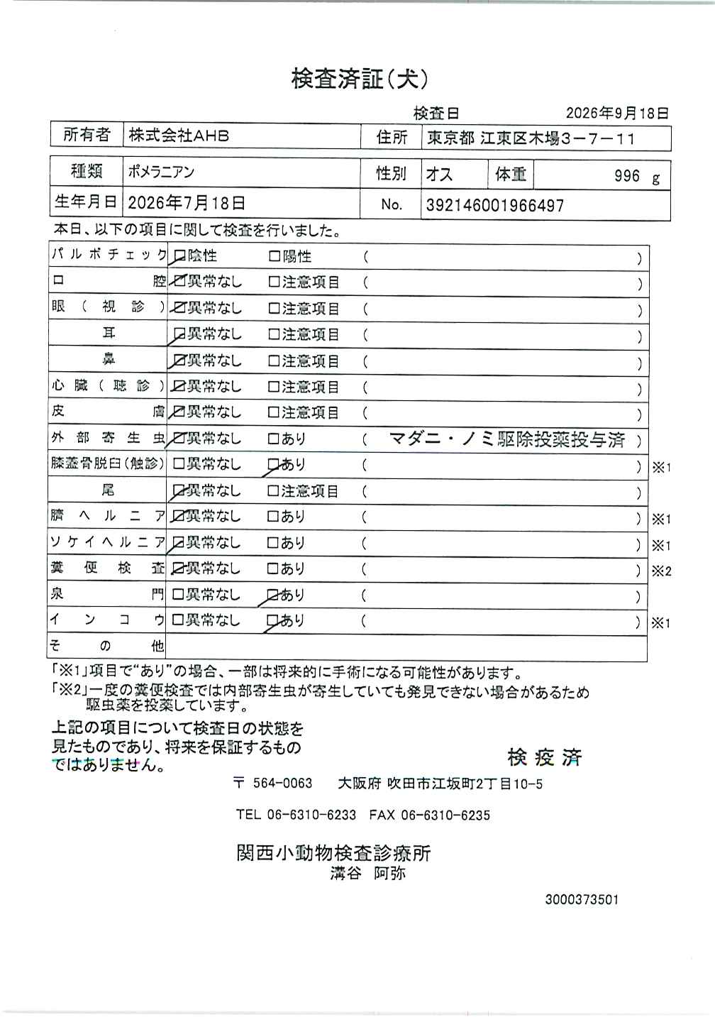 ポメラニアン