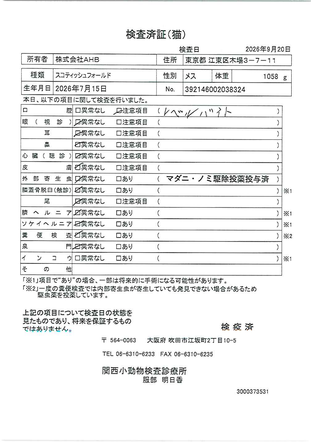 スコティッシュフォールド