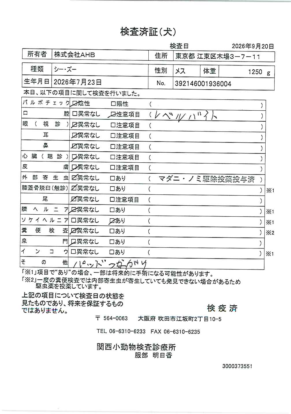 シー・ズー