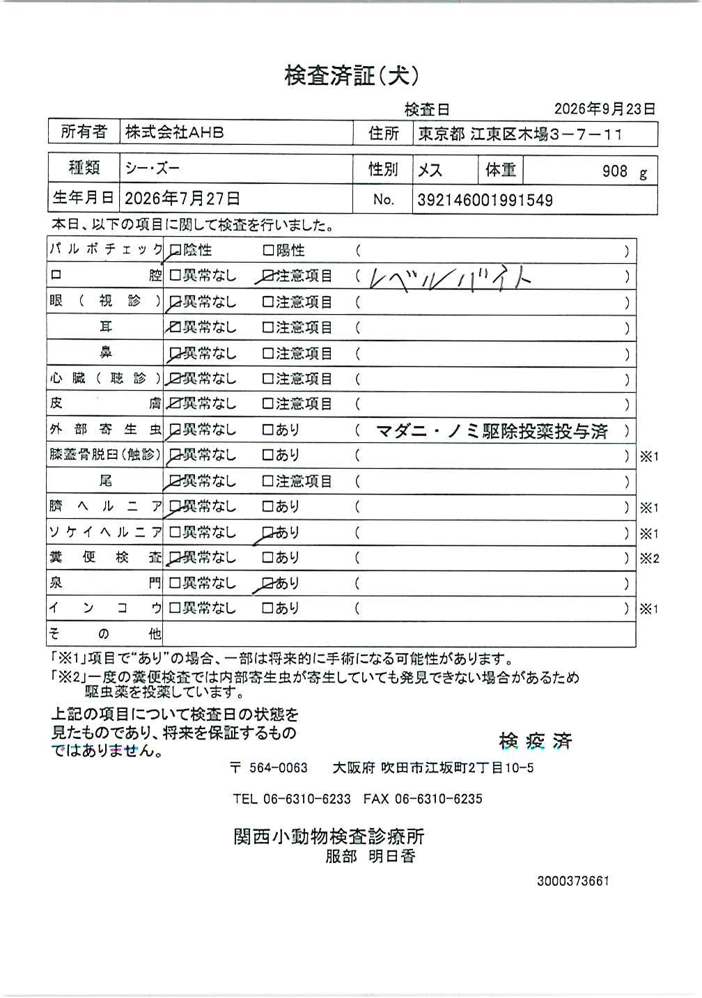 シー・ズー