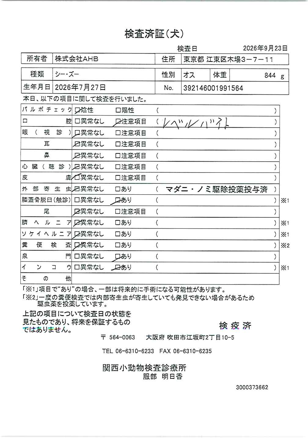 シー・ズー