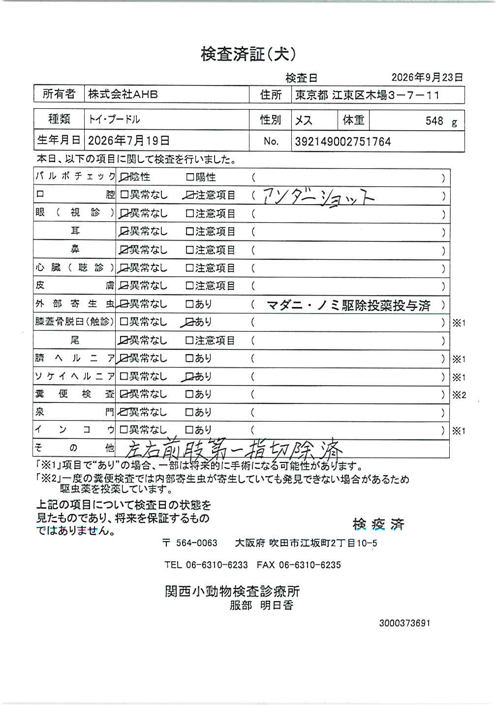 トイ・プードル