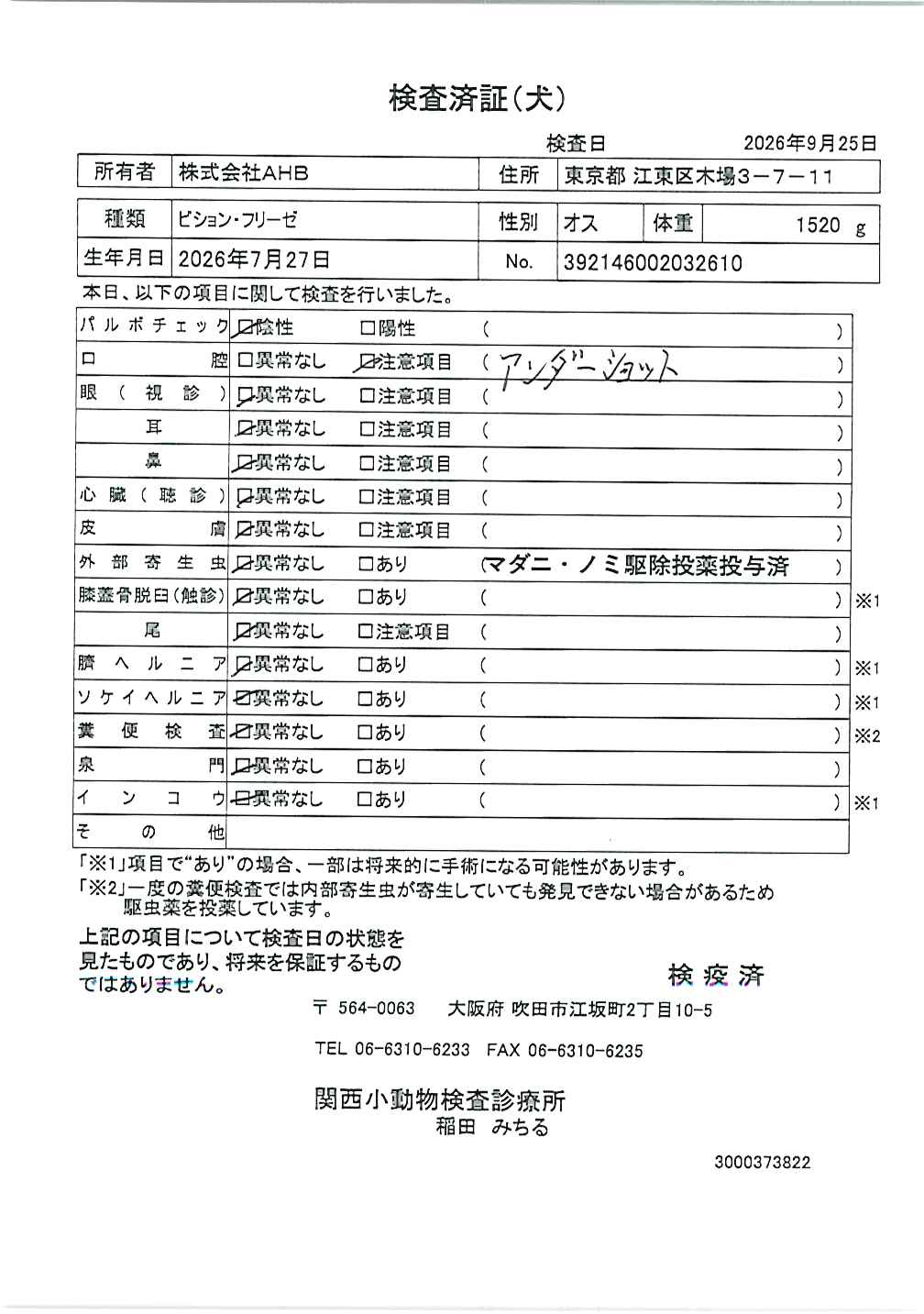 ビション・フリーゼ