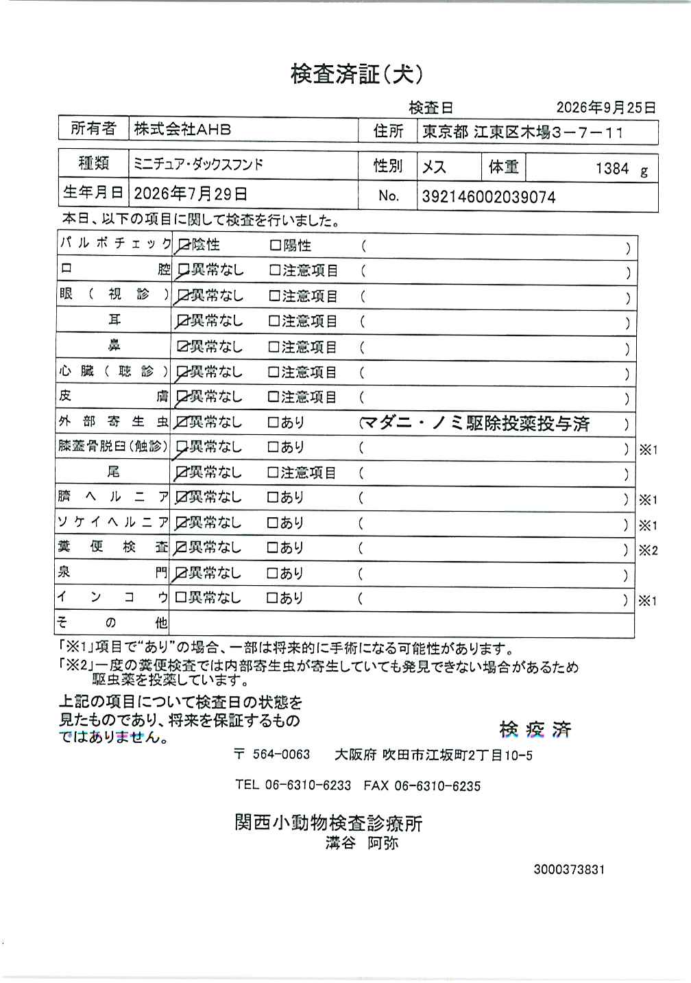 ミニチュア・ダックスフンド