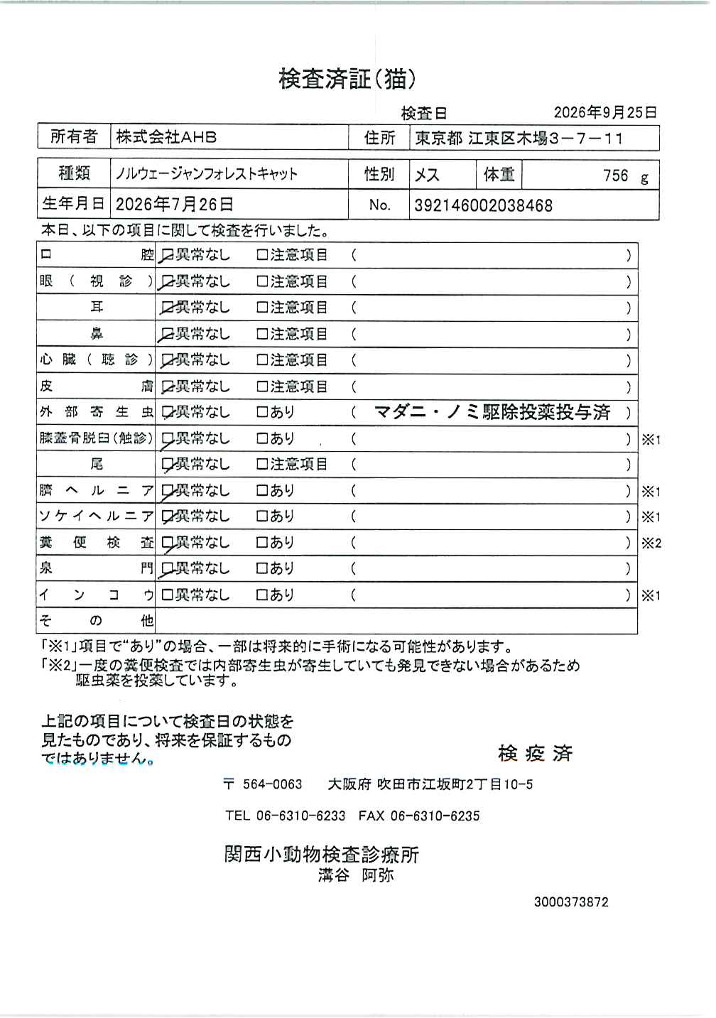 ノルウェージャンフォレストキャット