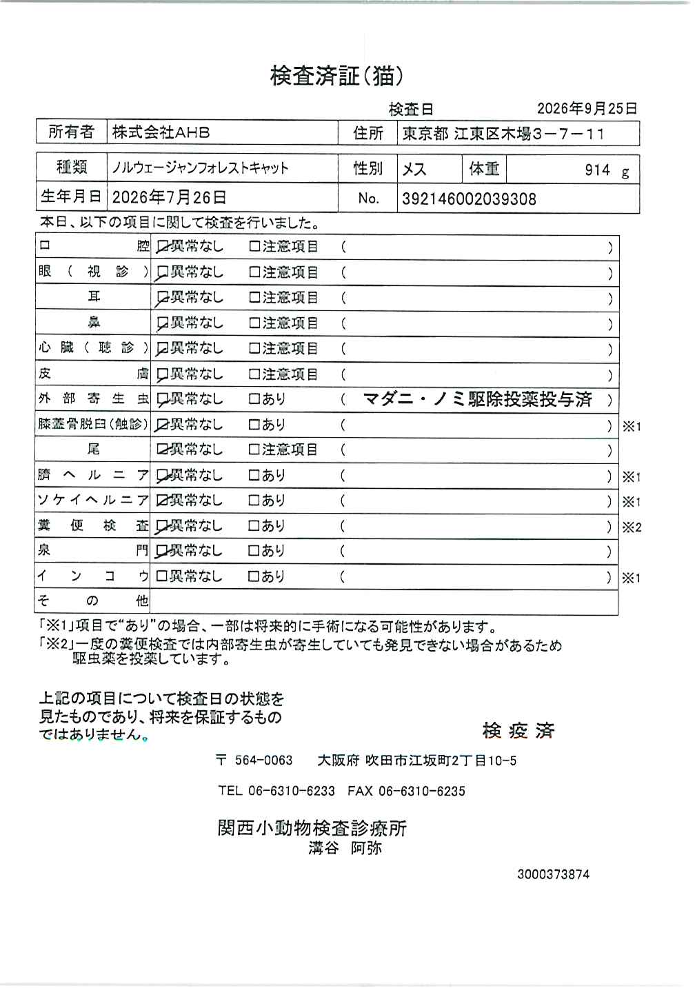 ノルウェージャンフォレストキャット