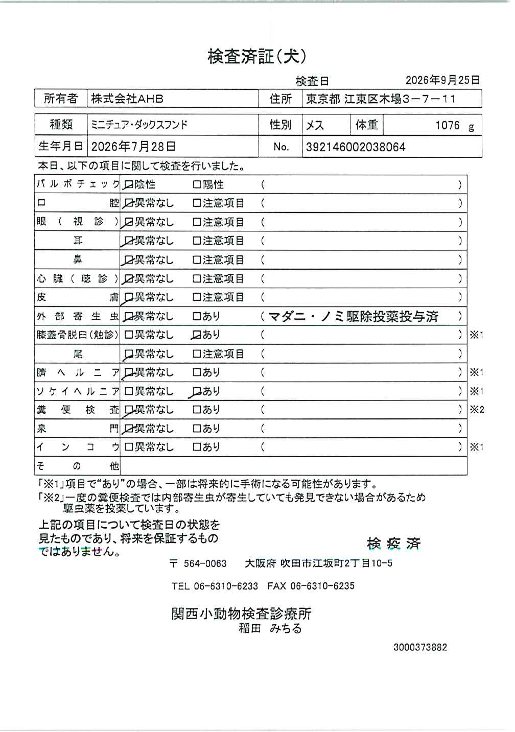 ミニチュア・ダックスフンド