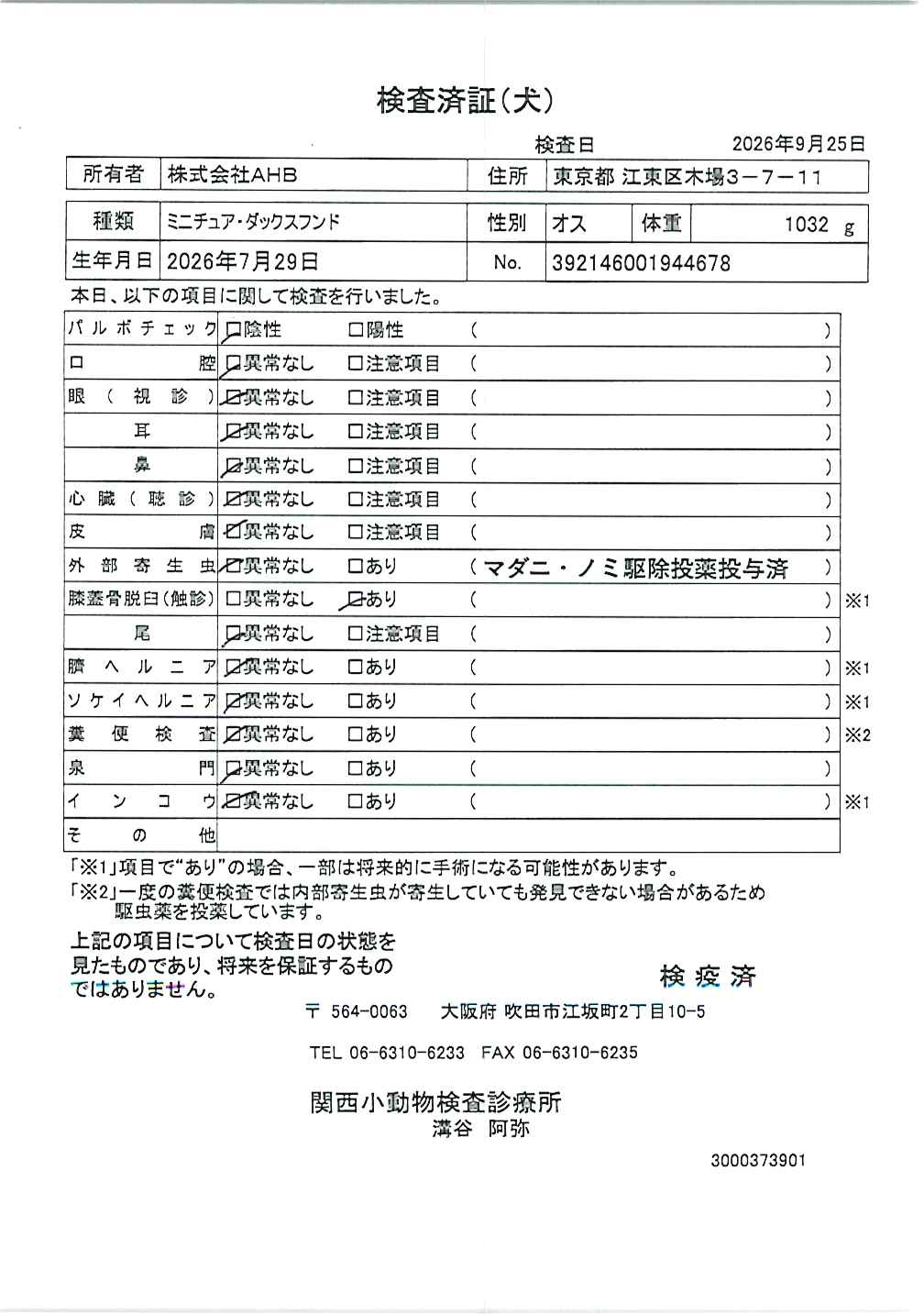 ミニチュア・ダックスフンド