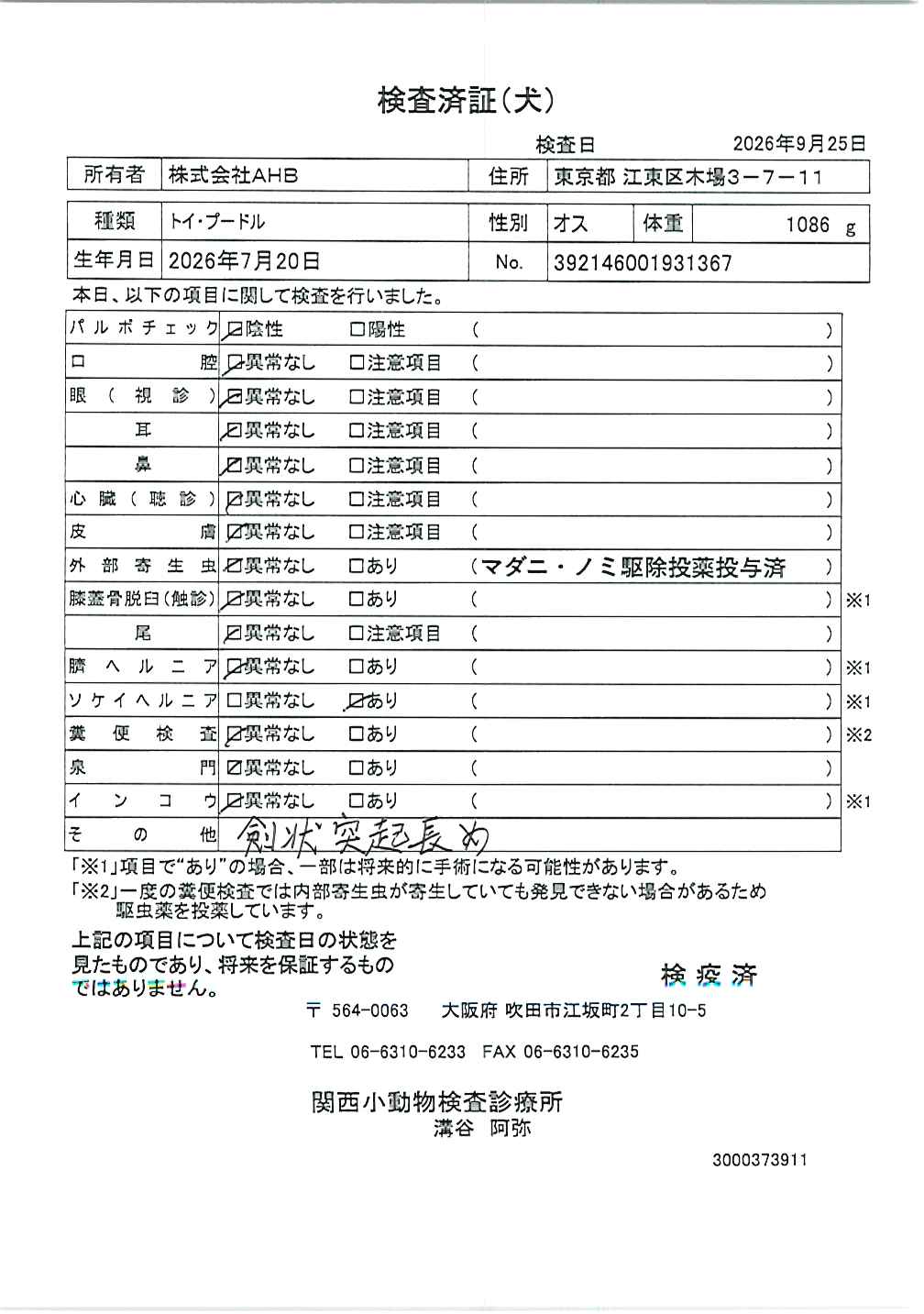 トイ・プードル