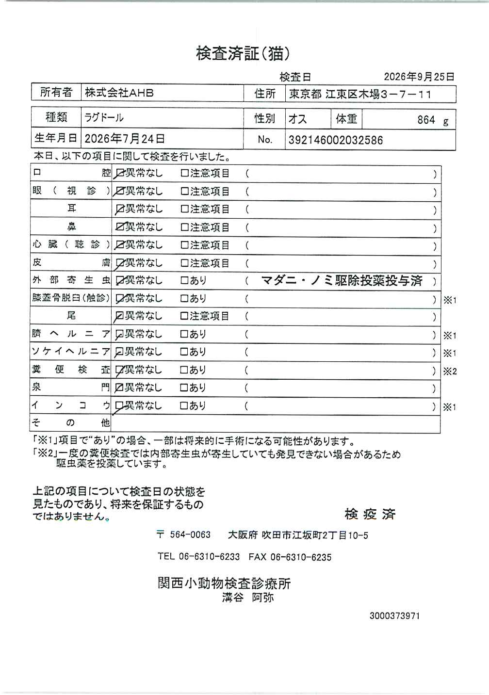 ラグドール