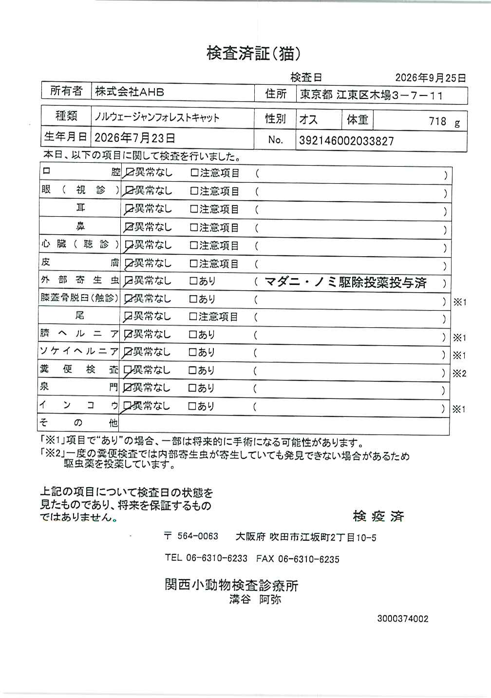 ノルウェージャンフォレストキャット
