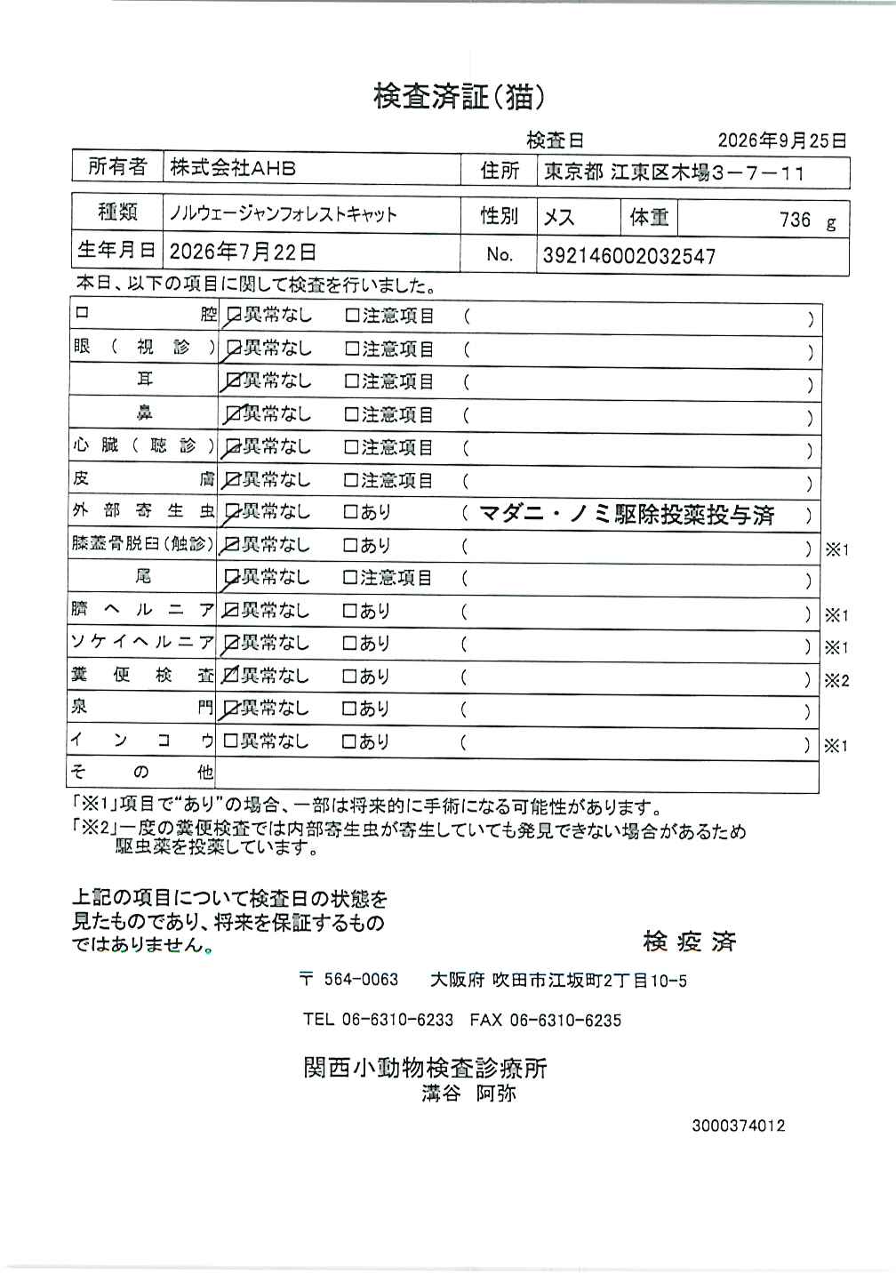 ノルウェージャンフォレストキャット