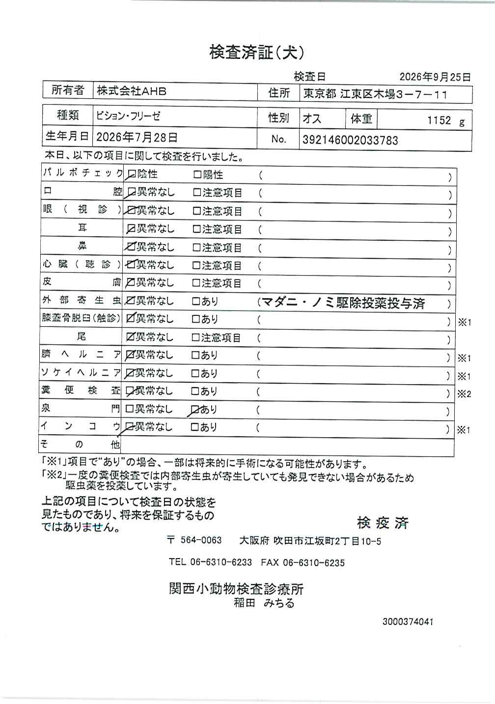 ビション・フリーゼ