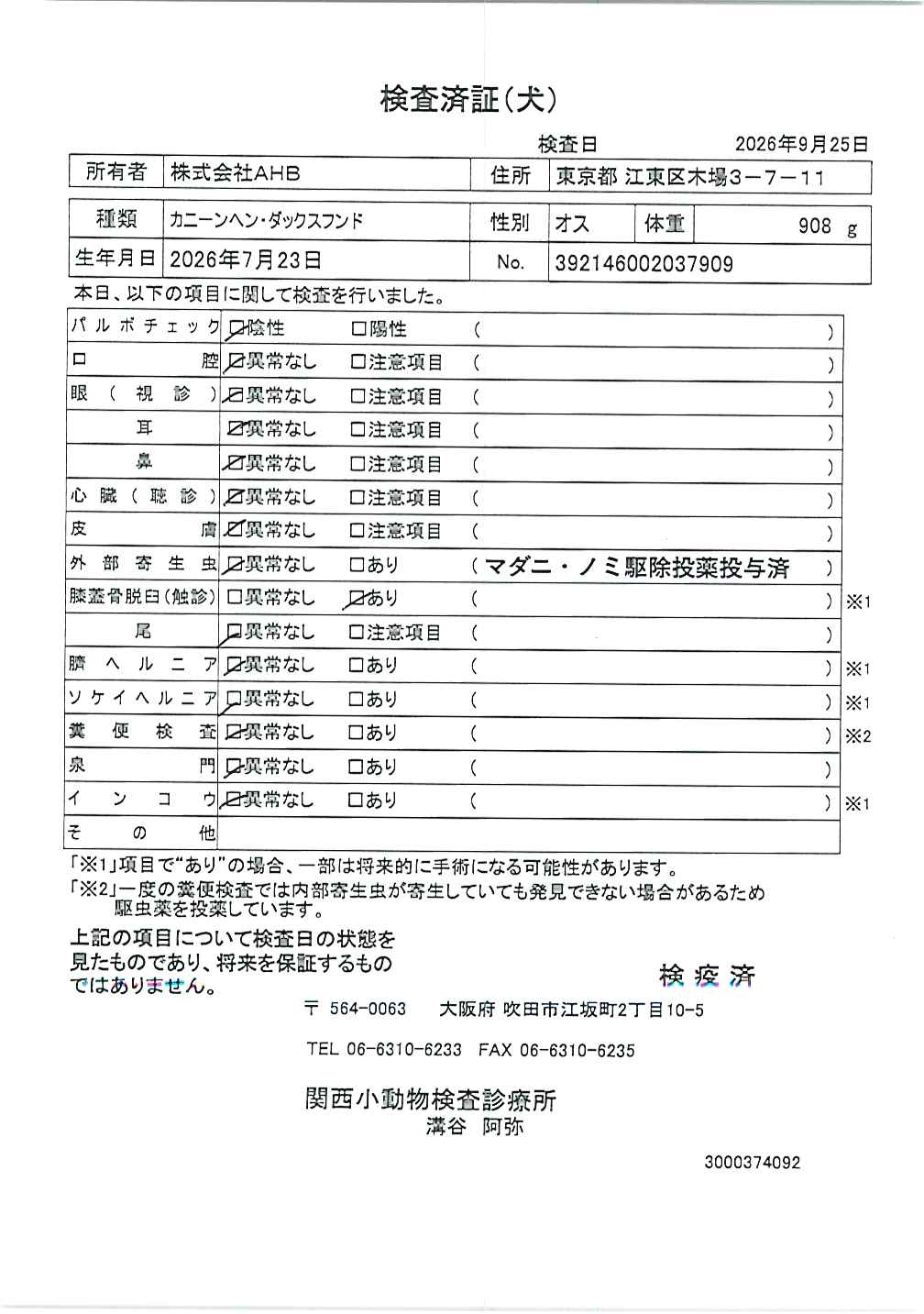 カニーンヘン・ダックスフンド