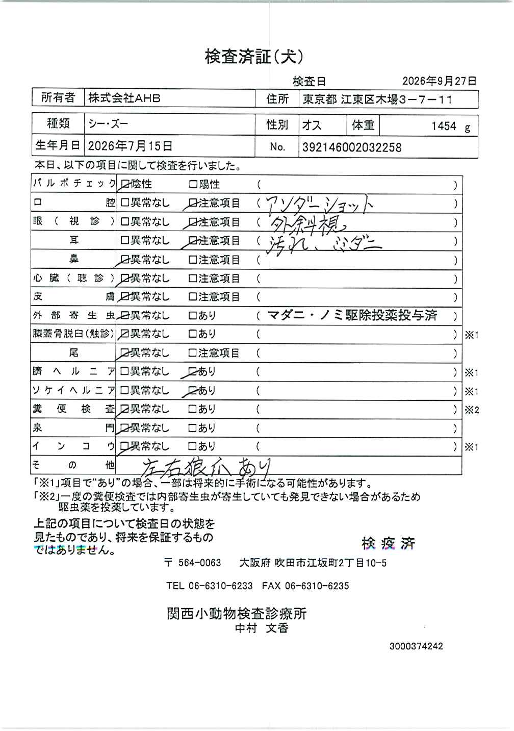 シー・ズー