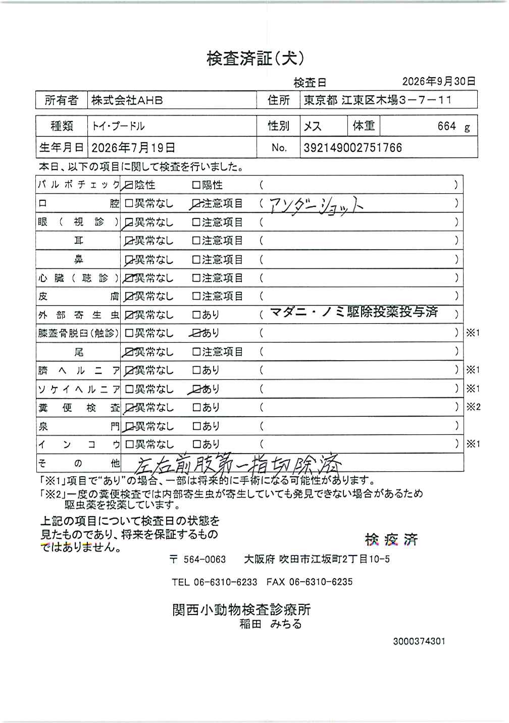 トイ・プードル