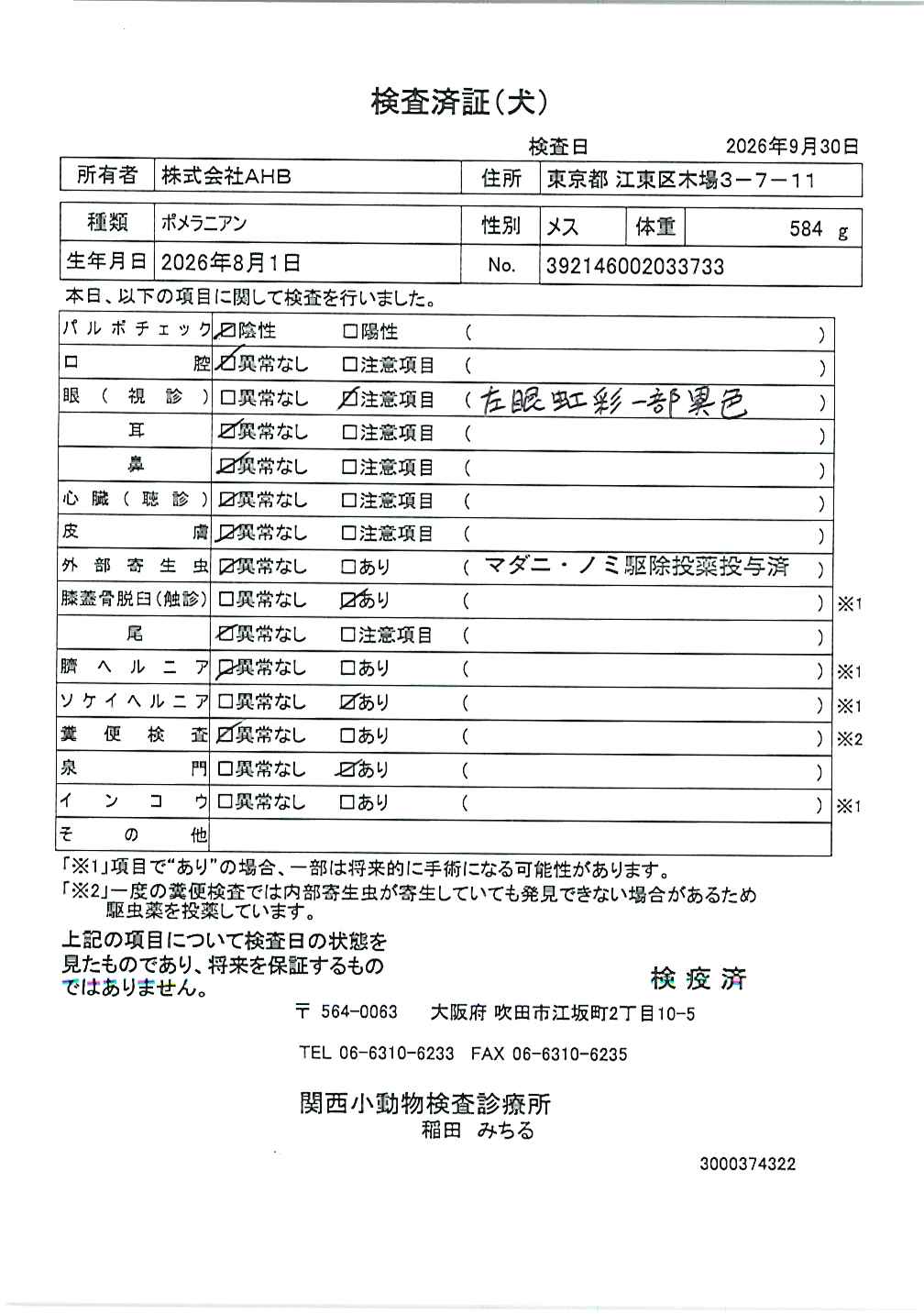ポメラニアン