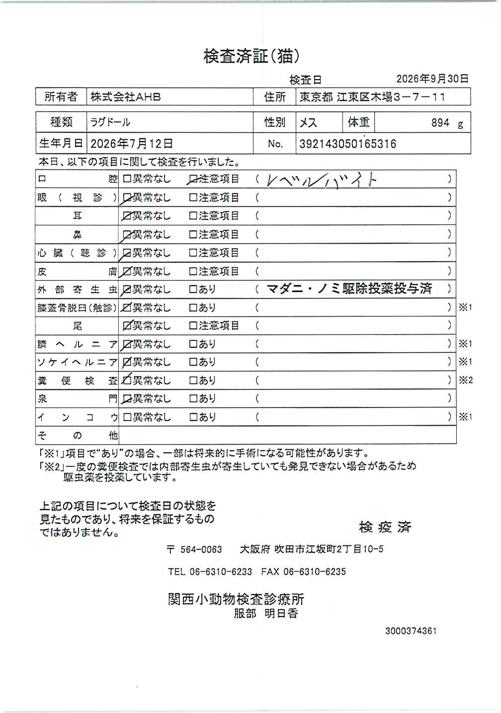 ラグドール