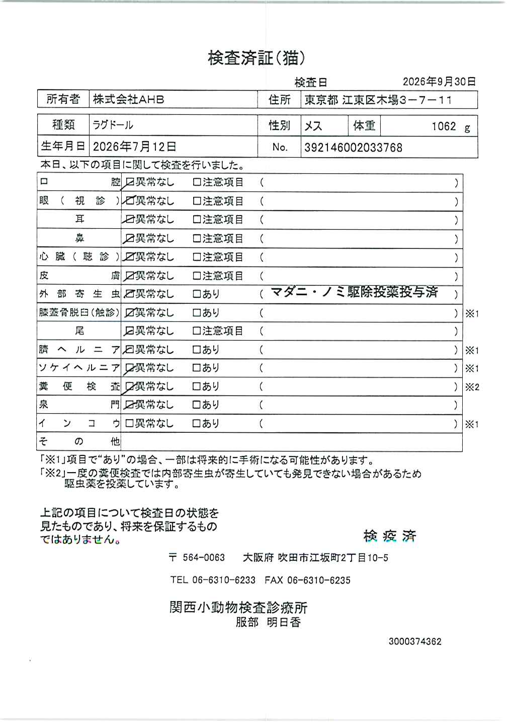 ラグドール