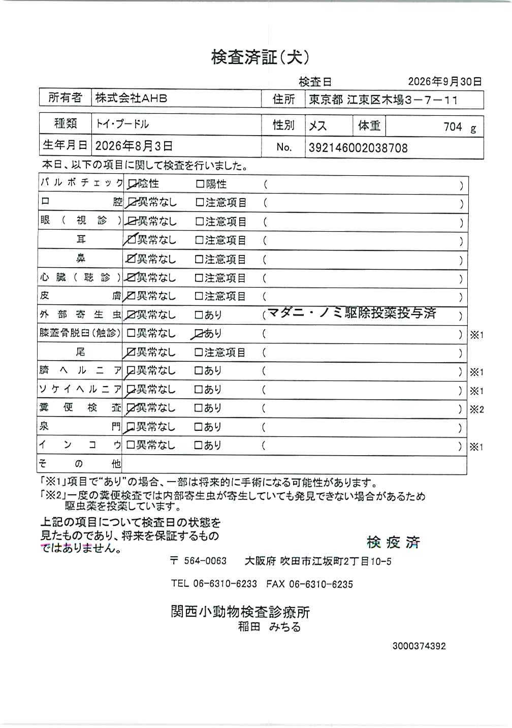 トイ・プードル