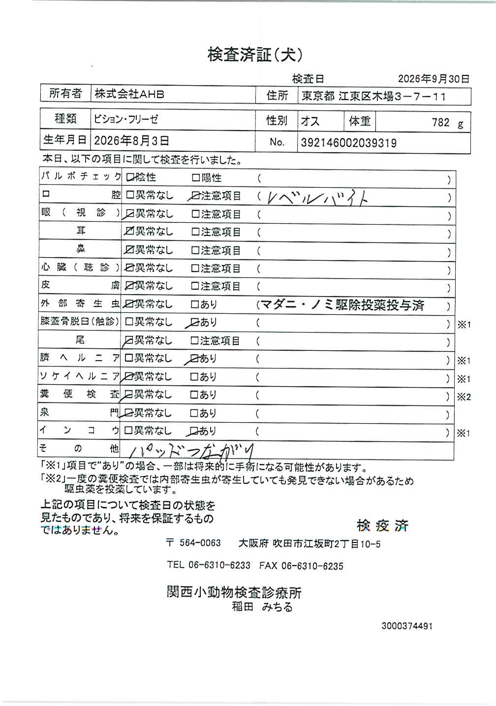 ビション・フリーゼ
