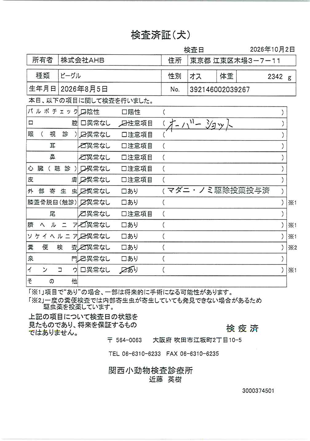 ビーグル