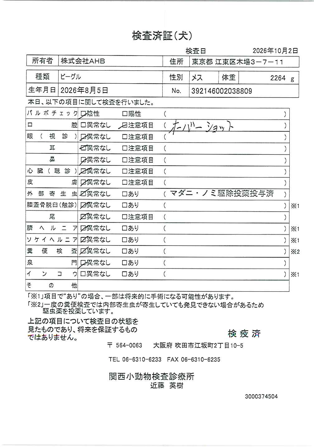 ビーグル