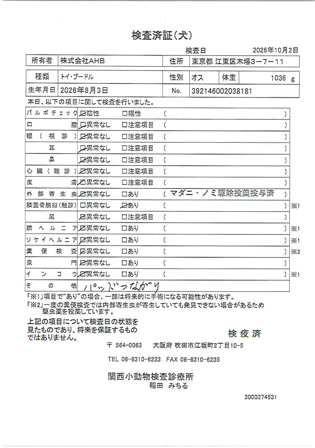 トイ・プードル