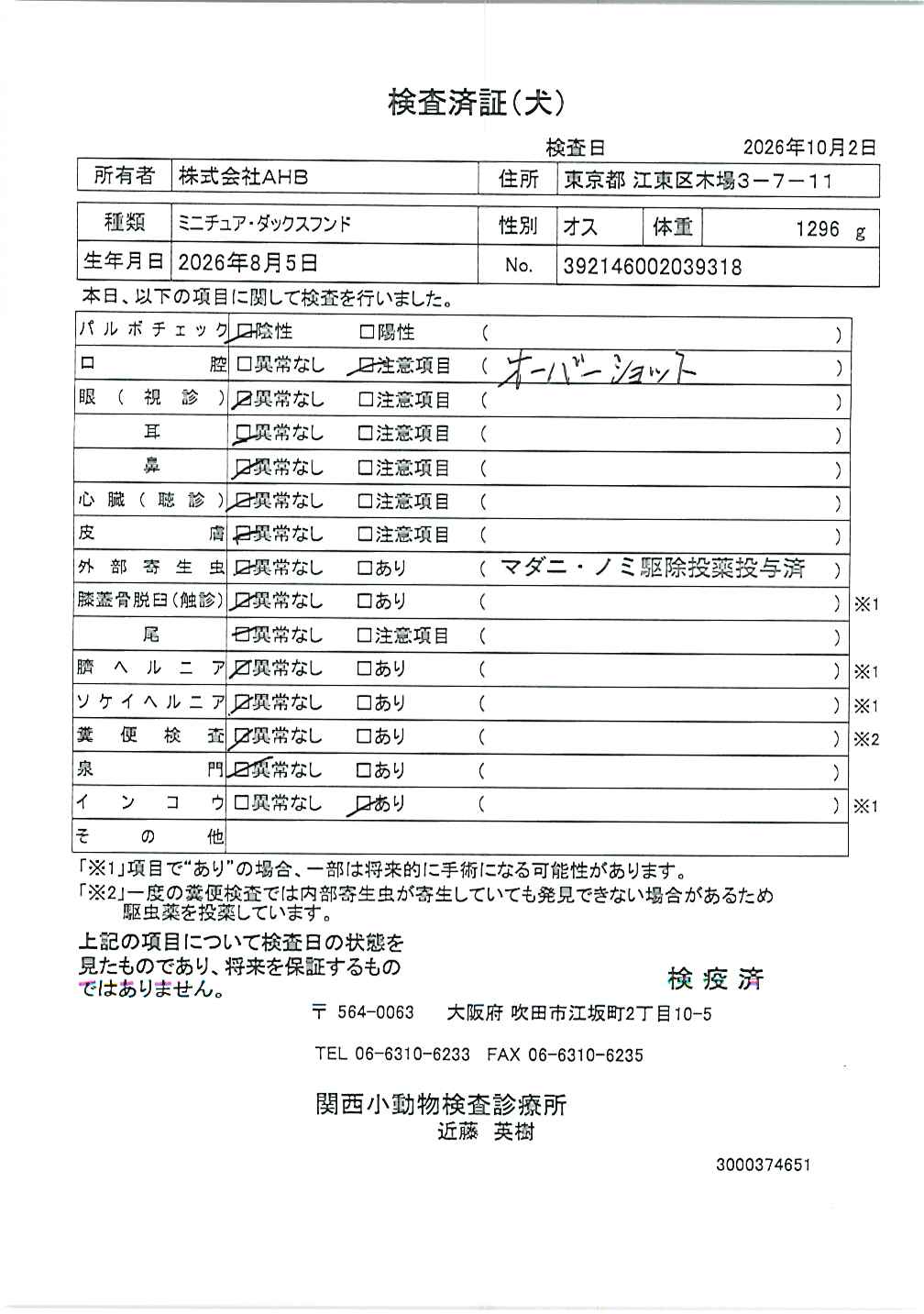 ミニチュア・ダックスフンド