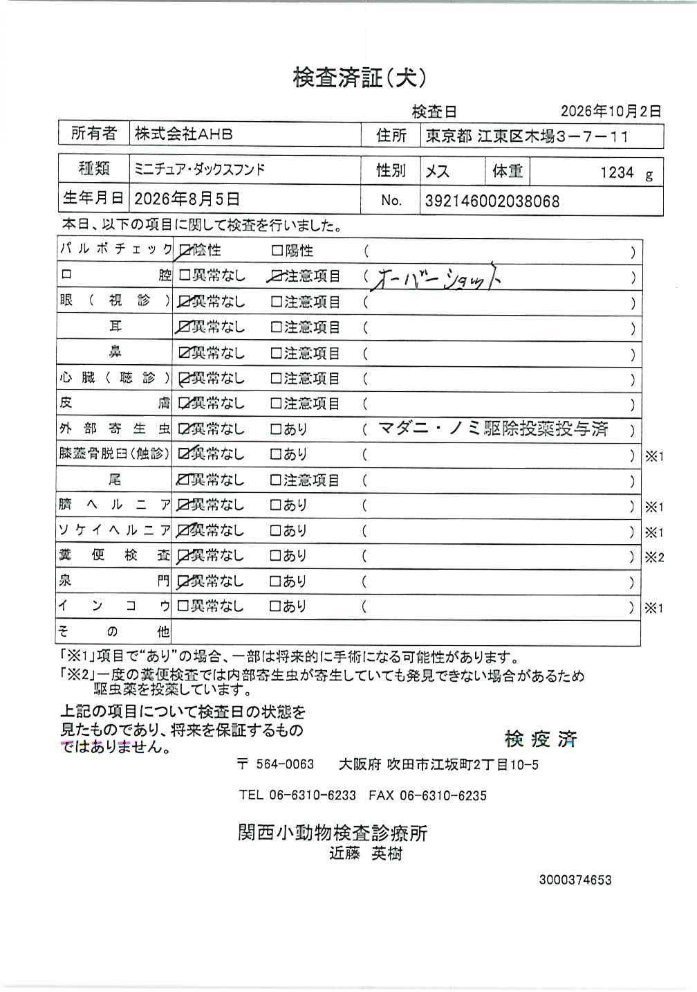 ミニチュア・ダックスフンド