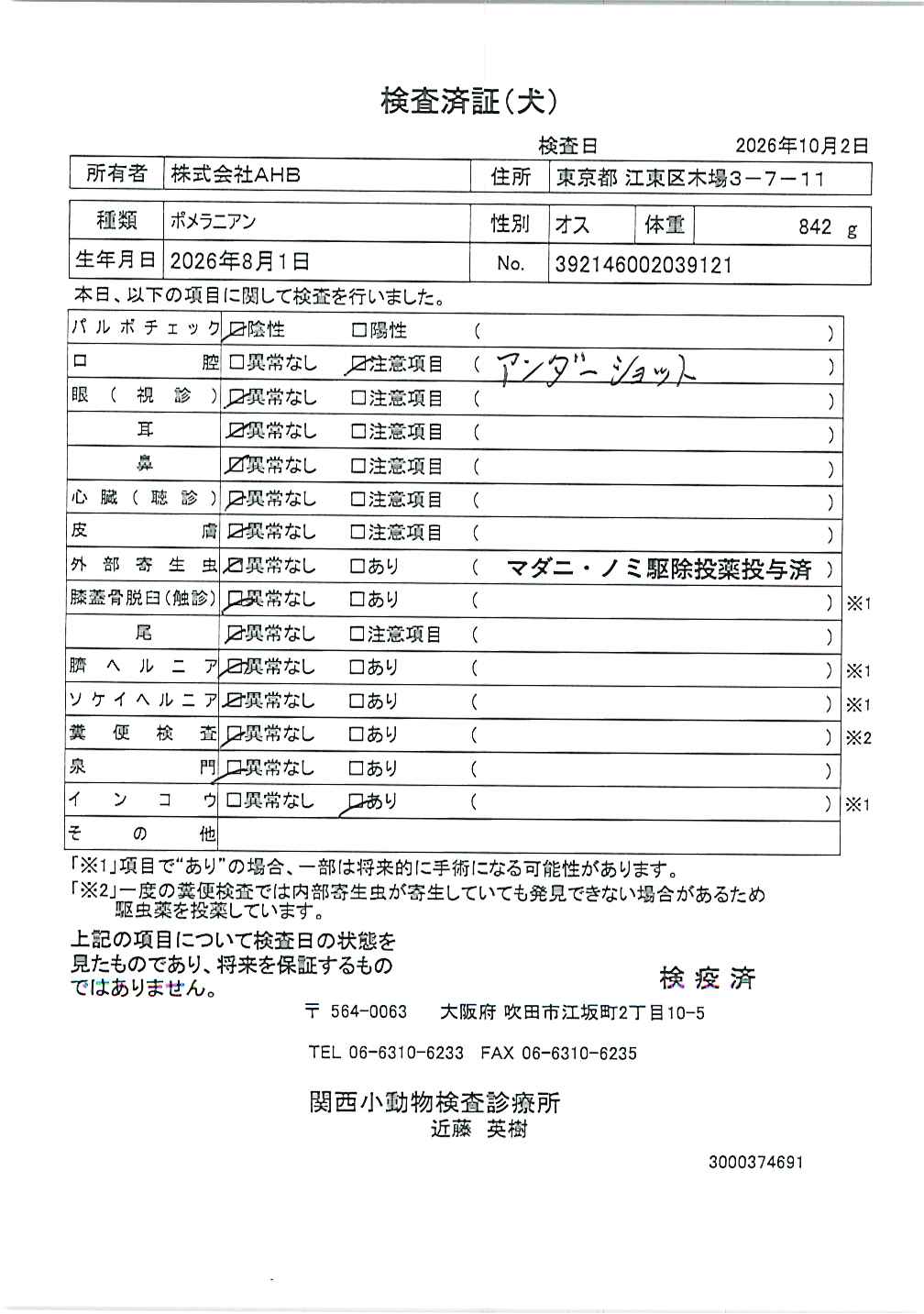 ポメラニアン