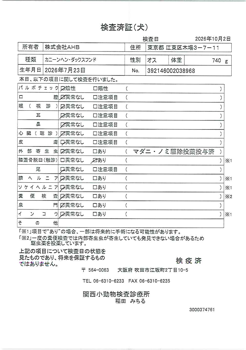 カニーンヘン・ダックスフンド