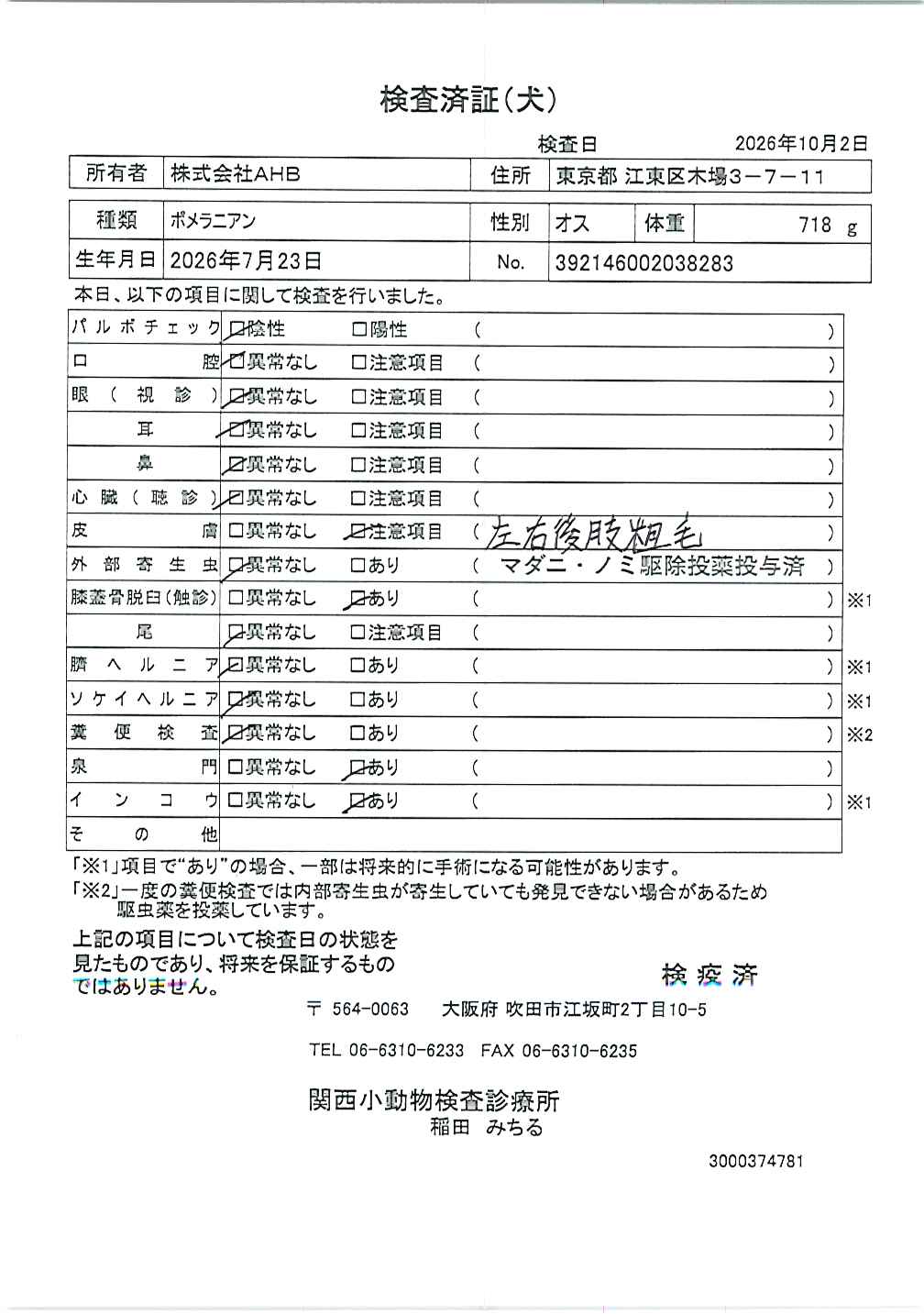 ポメラニアン