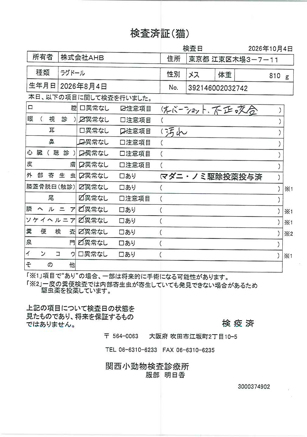ラグドール