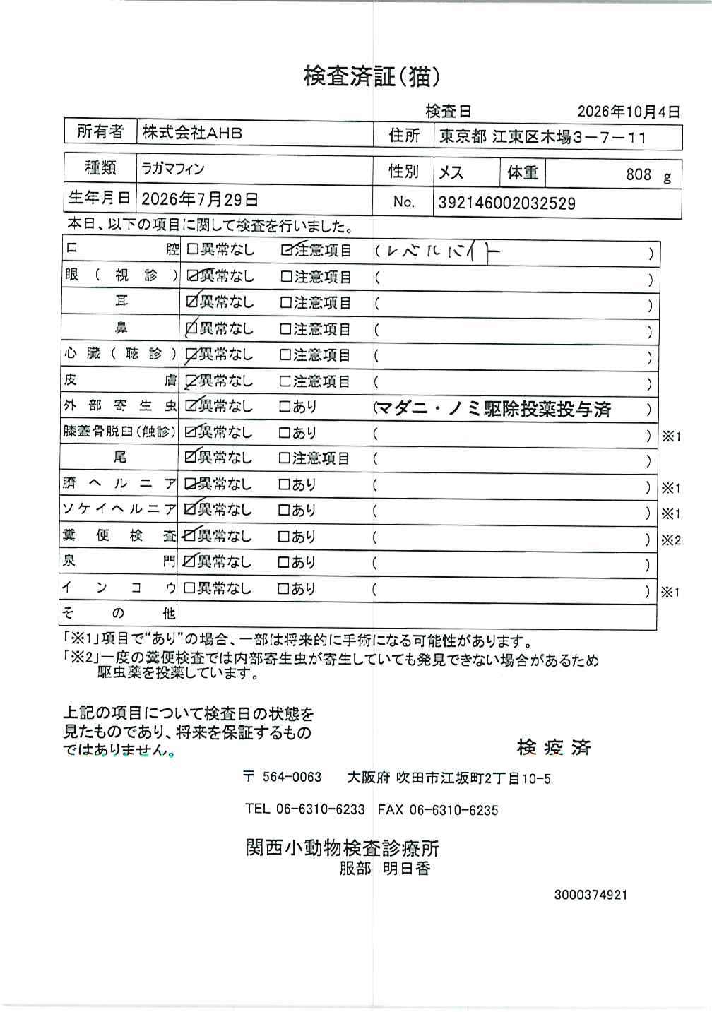 ラガマフィン