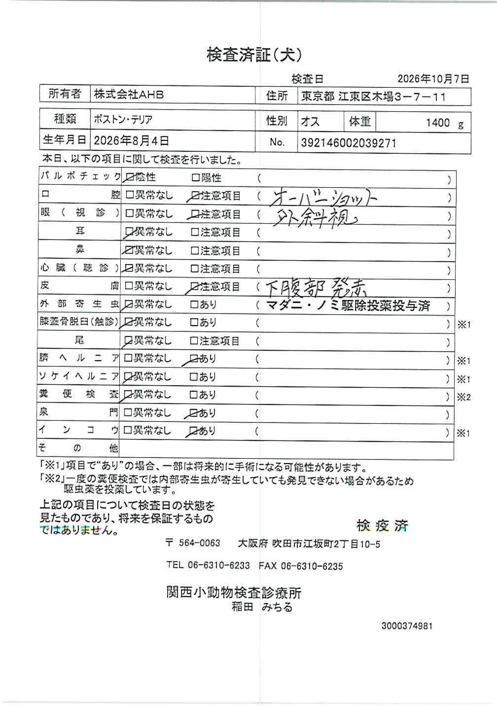 ボストン・テリア