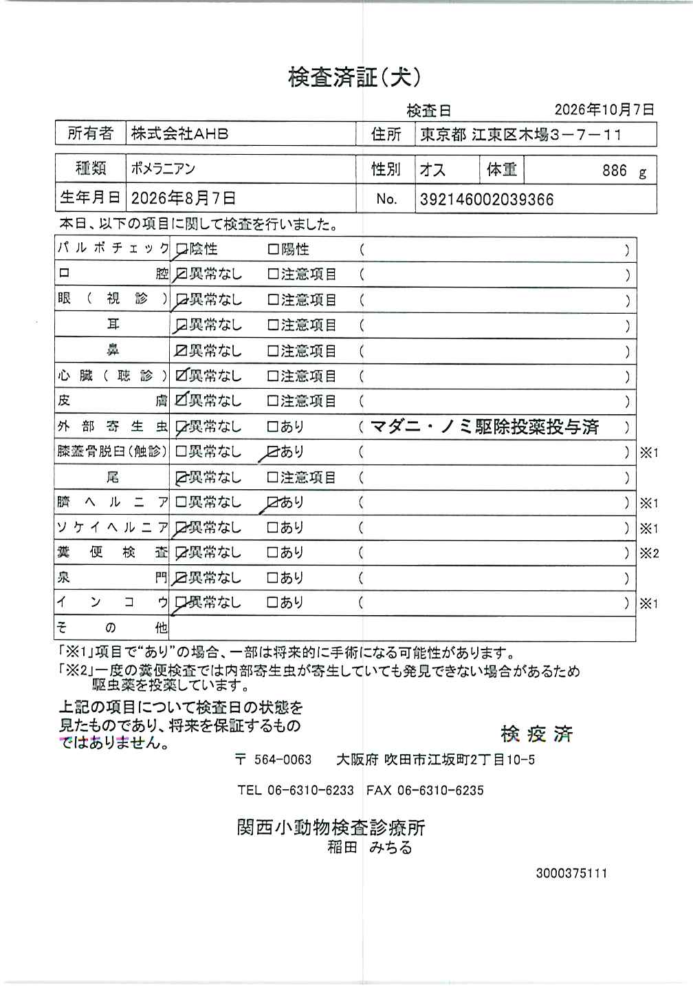 ポメラニアン