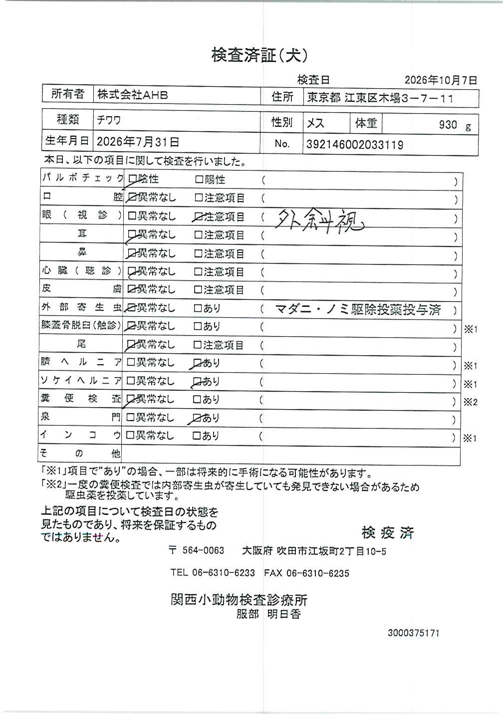 チワワ