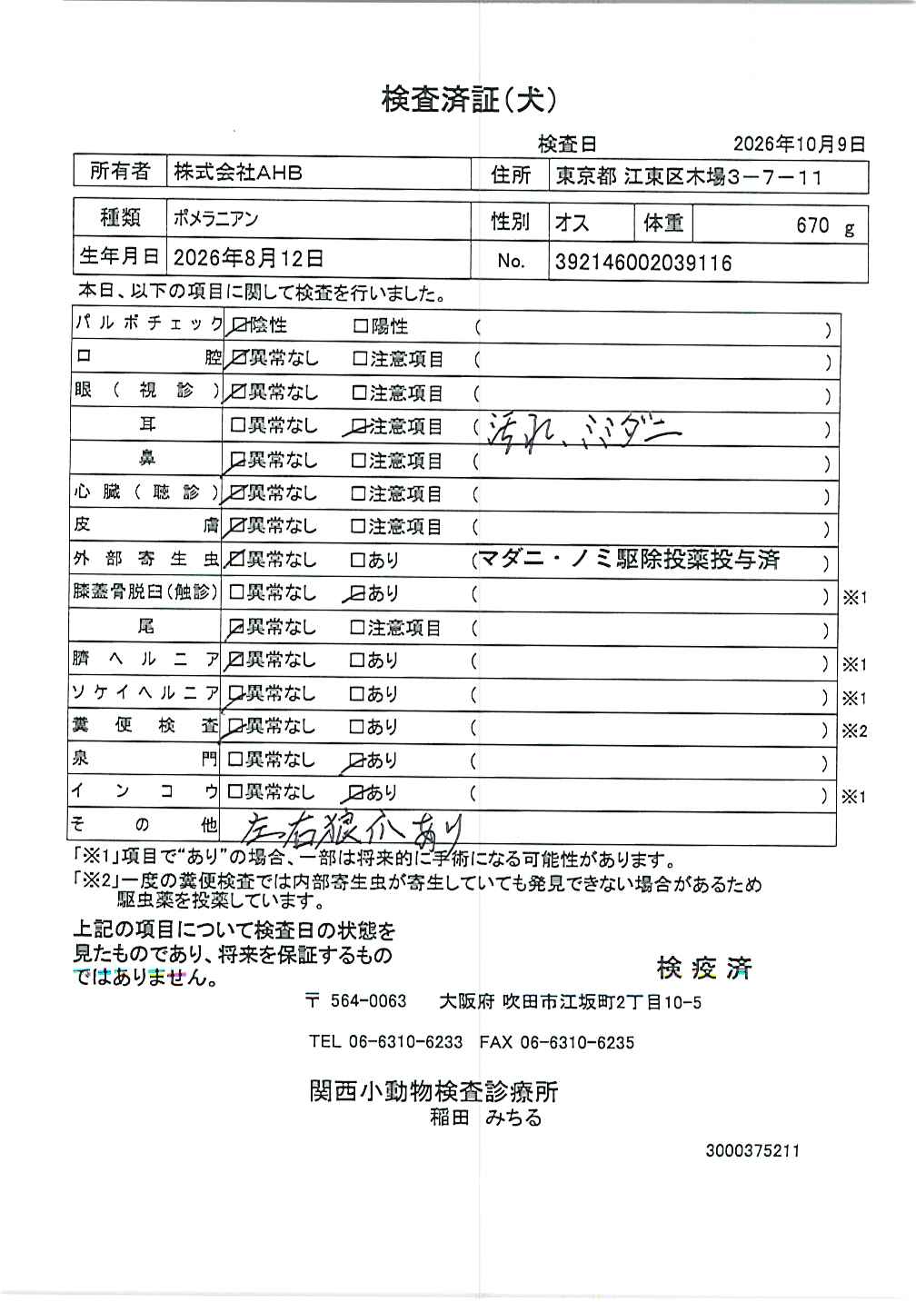 ポメラニアン