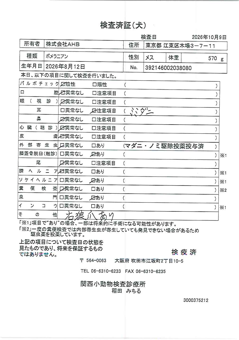 ポメラニアン