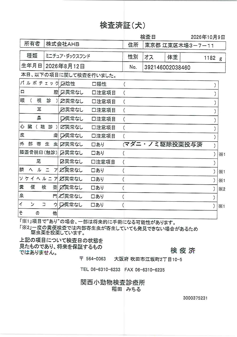 ミニチュア・ダックスフンド