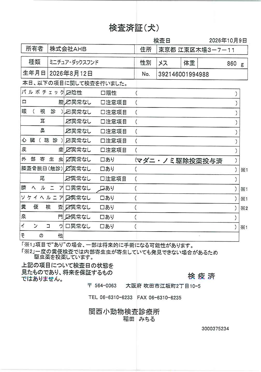 ミニチュア・ダックスフンド