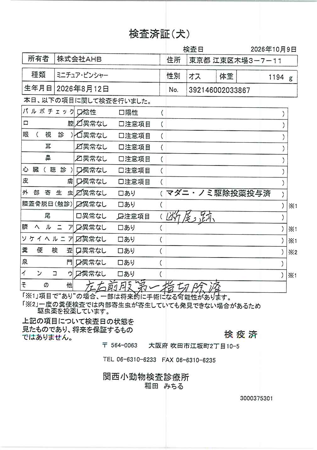 ミニチュア・ピンシャー