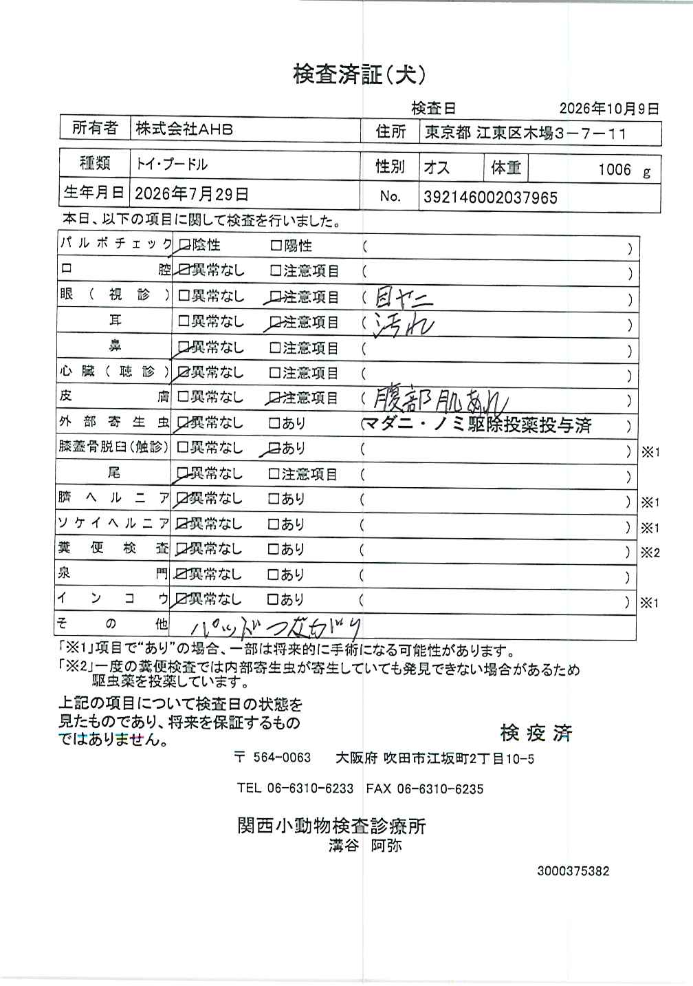トイ・プードル