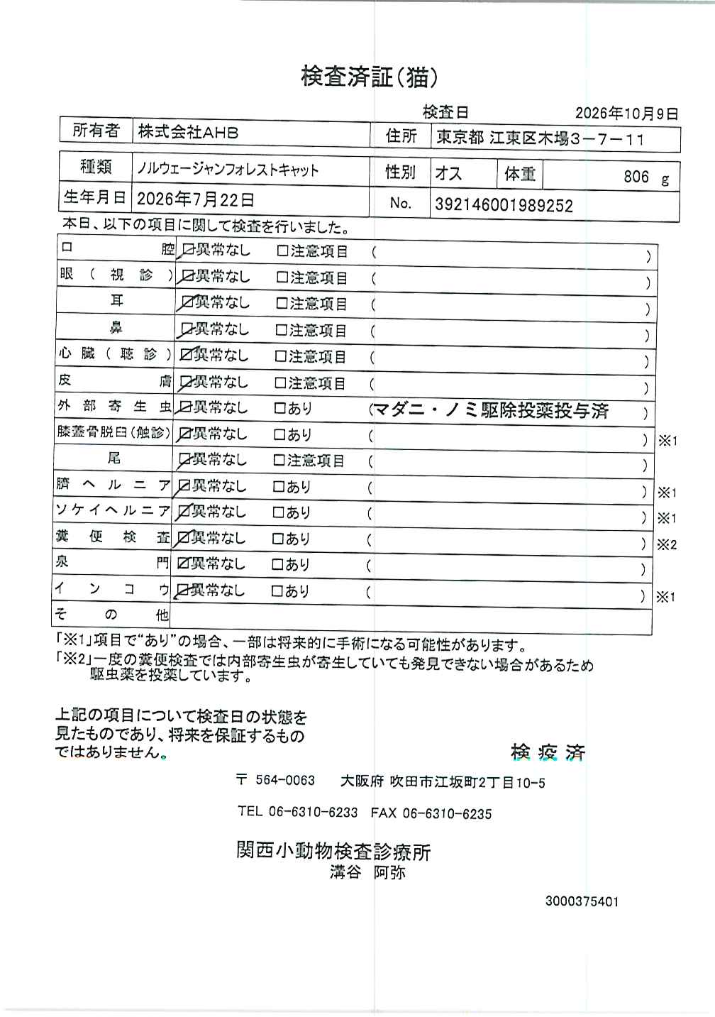 ノルウェージャンフォレストキャット