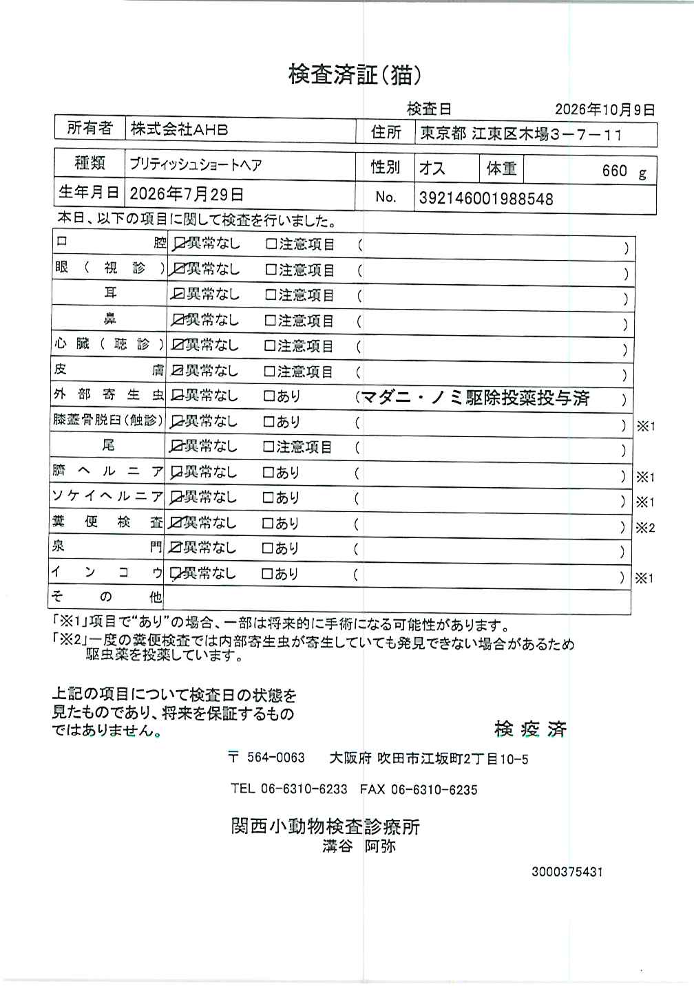 ブリティッシュショートヘア